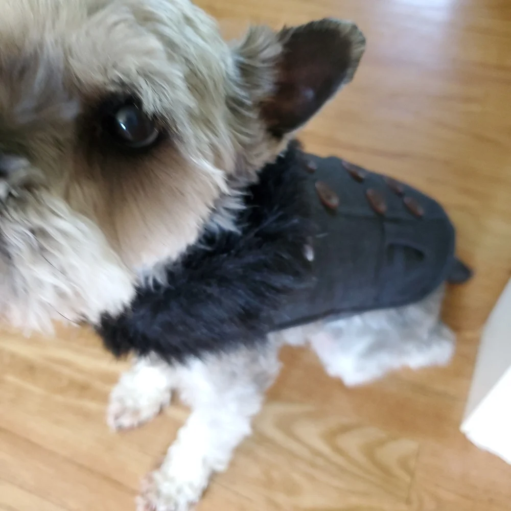Dog Jacket with faux fur color Size Small